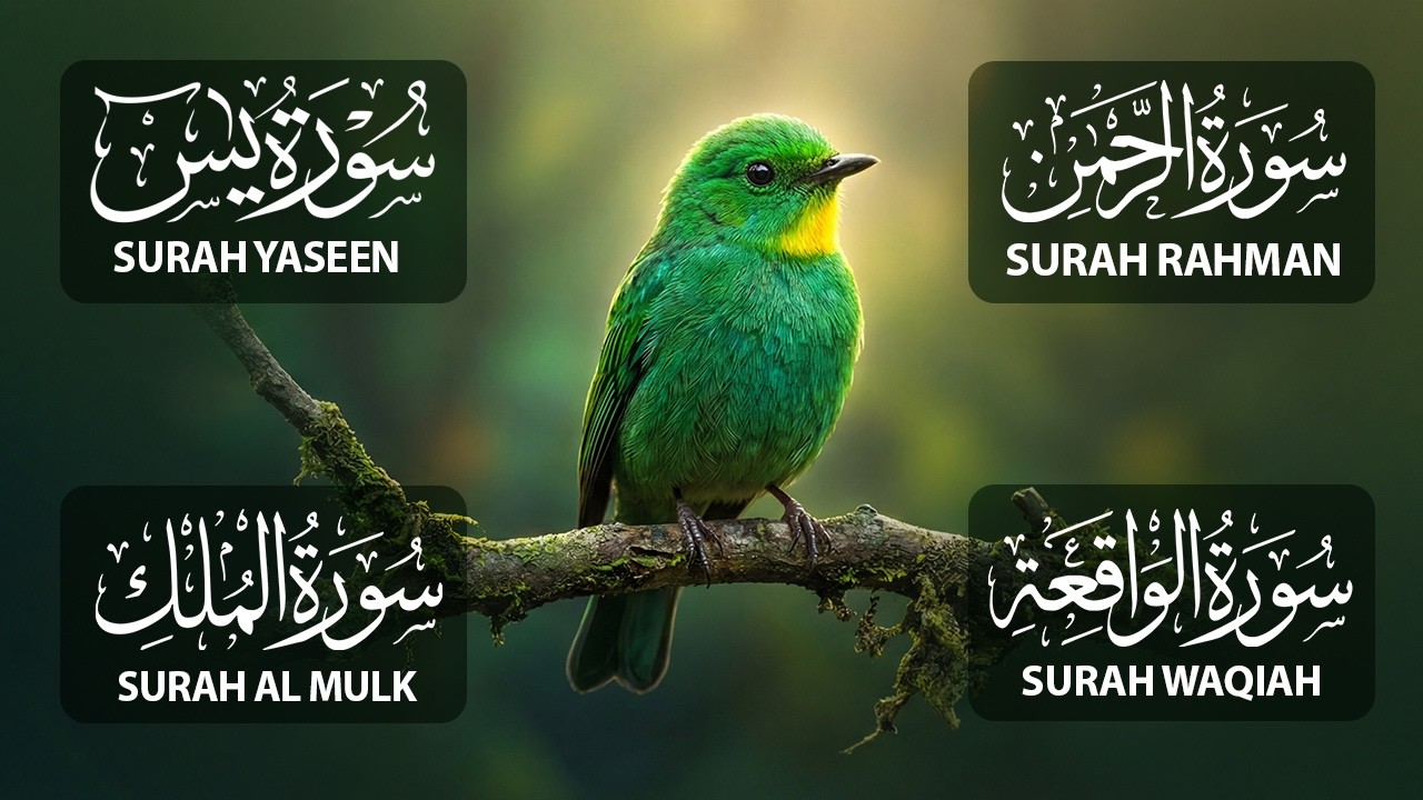 4 Powerful Surahs for Barakah & Rizq: Yaseen, Rahman, Waqiah, Mulk Al Fajr Recitation Tv