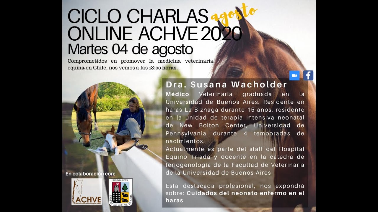 Cuidados del neonato equino enfermo en el haras