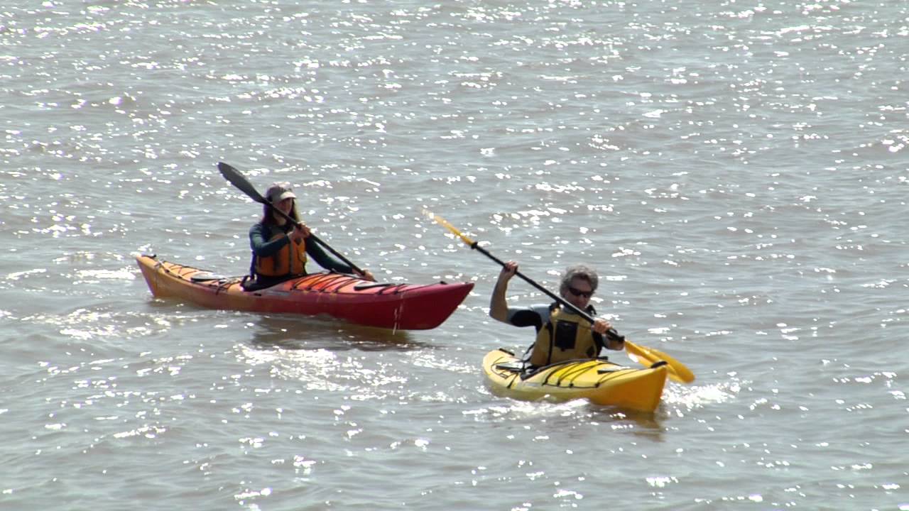 Kayak in New York City with Manhattan Kayak Company