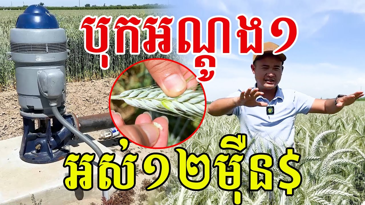 លោកអើយ អណ្តូង១ អស់១២ម៉ឺន គ្រាន់តែអណ្តូងធ្វើវីឡាបានមួយ
