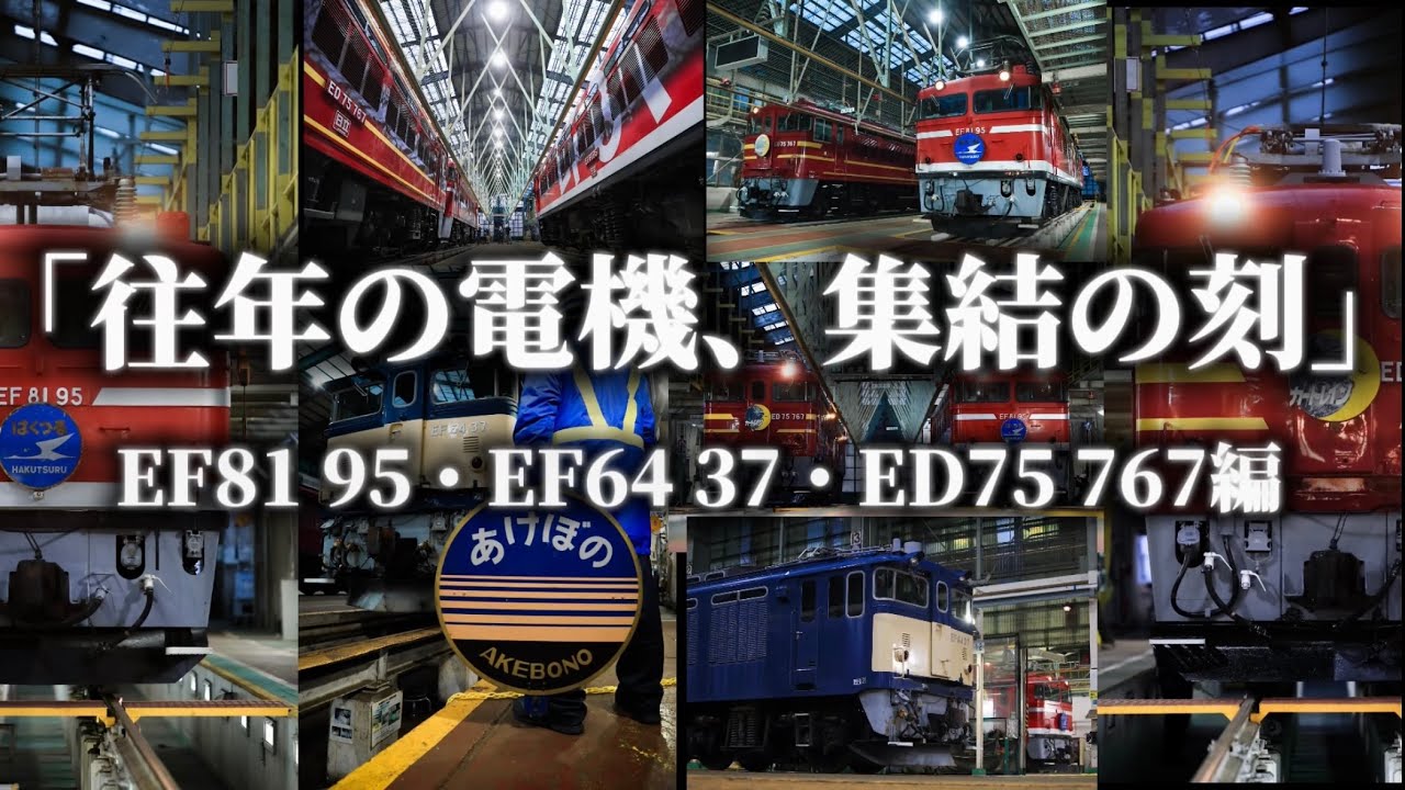 【撮影会】「往年の電機、集結の刻」第3部　EF81 95・EF64 37・ED75 767編　機関車撮影会in秋田総合車両センター
