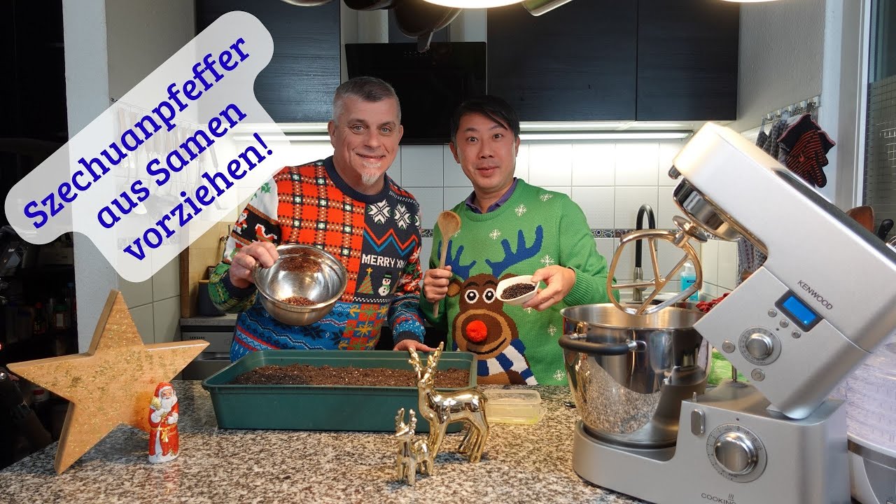 Szechuan - Pfeffer selber aus Samen ziehen!