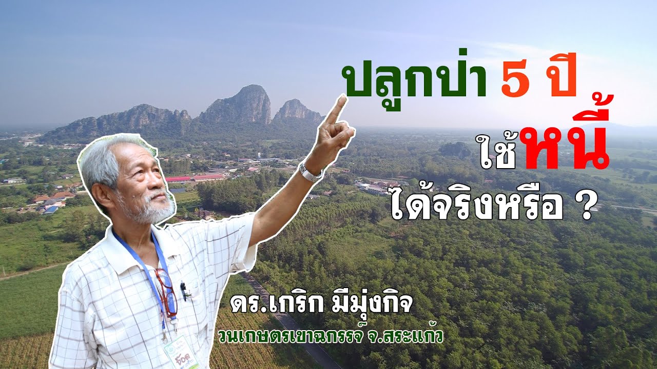 ปลูกป่าให้โตตามธรรมชาติ | คนรักษ์ป่า ep 16