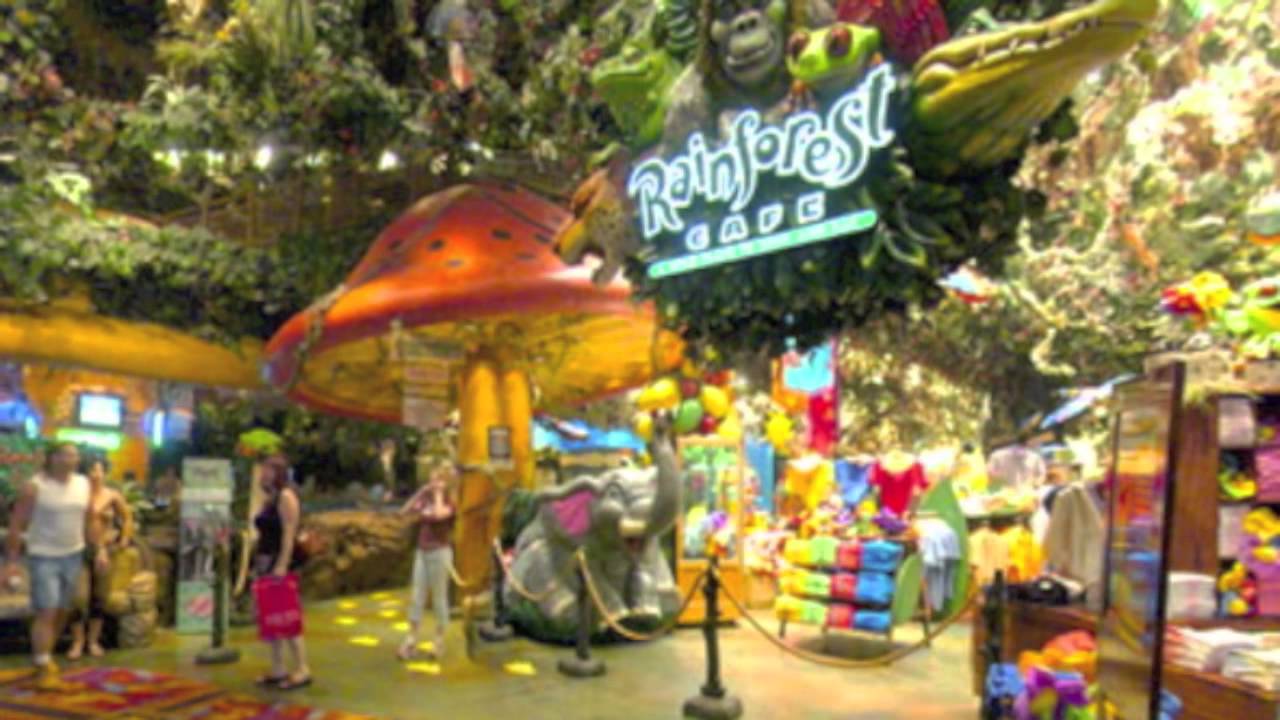 Prank Phone Call - Rainforest Cafe