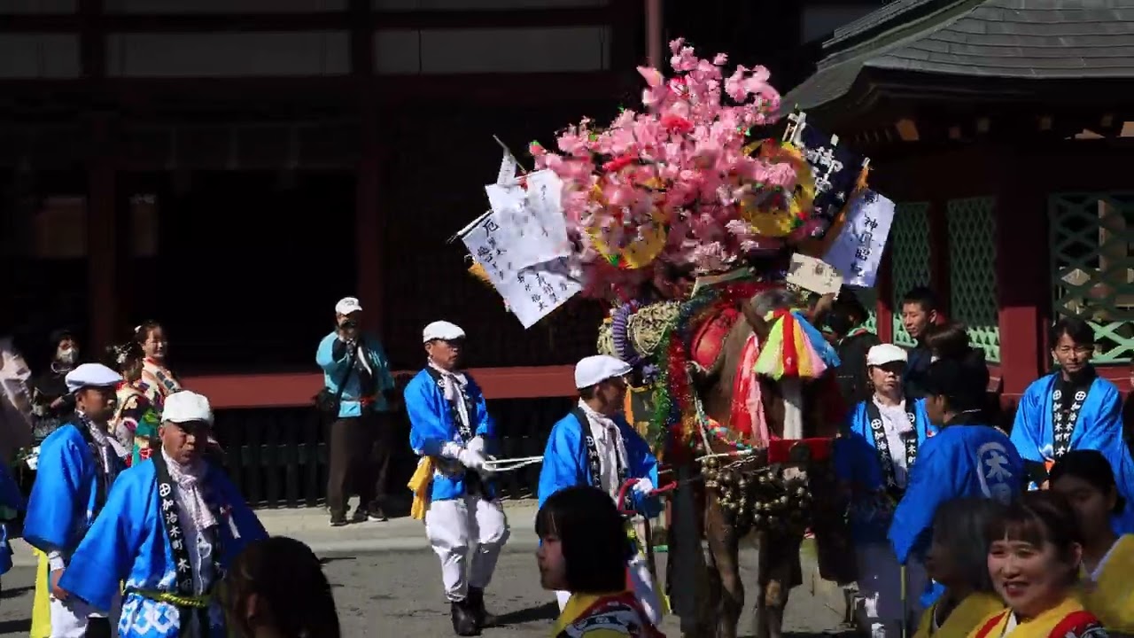 【令和八年】２０２６年３月８日 鹿児島神宮『初午祭【御神馬】』