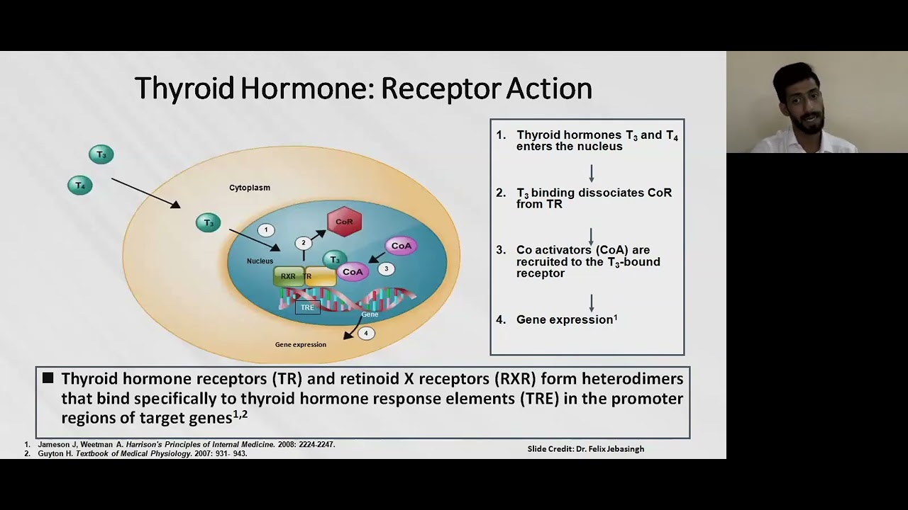 APPROACH TO THYROID DISORDERS - DR. SHIBU V IGNATIOUS