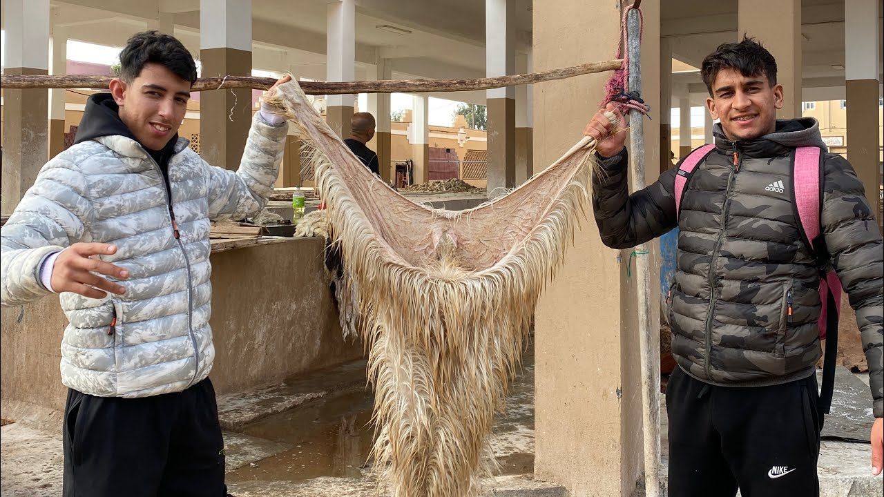 مشينا كنقلبو على الجلود ف نواحي تارودانت🐐💙