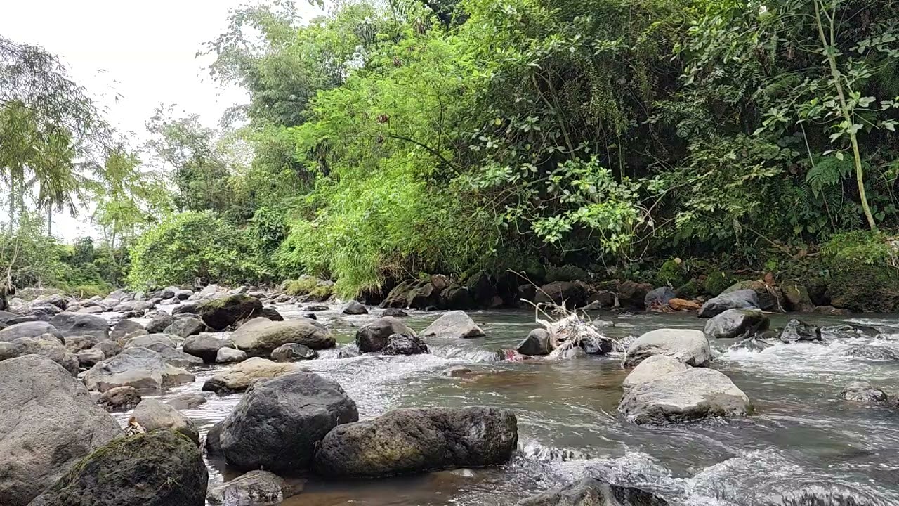 River Flow and Bird Sounds for Deep Sleep Therapy: Relax and Unwind