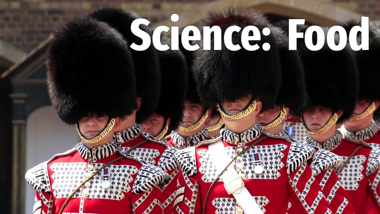 8.5. Science: Food