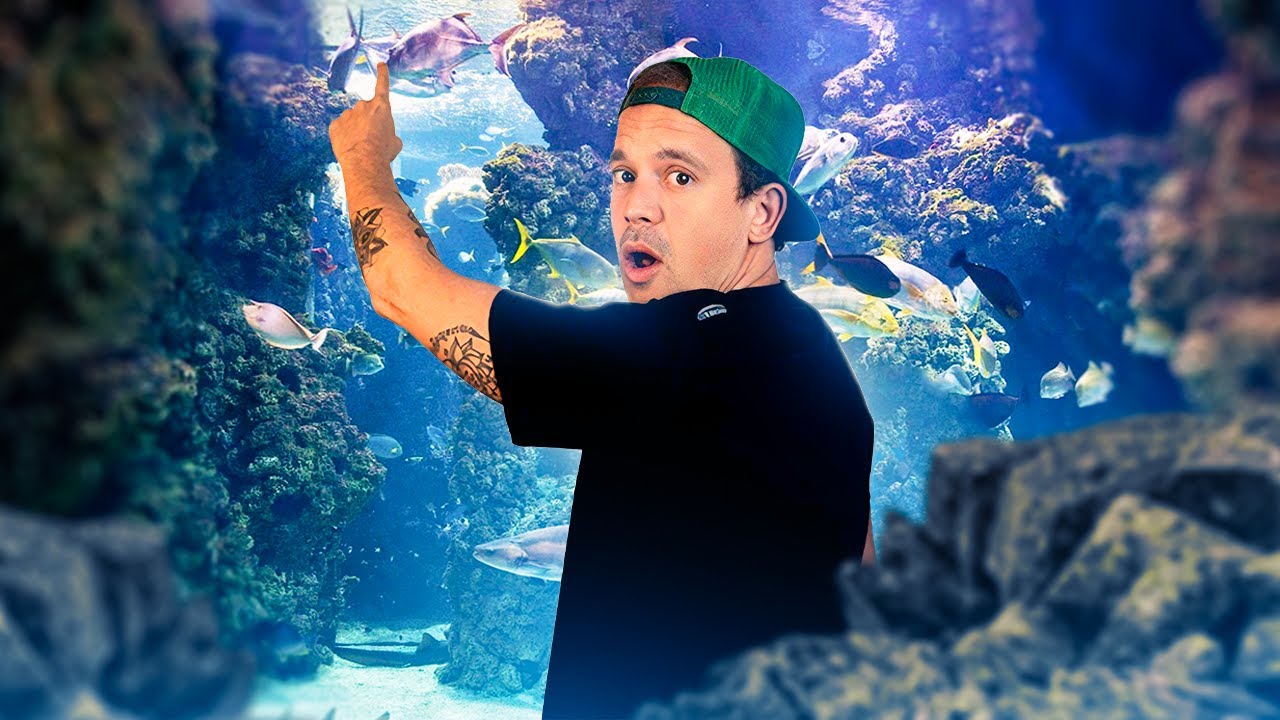 CET AQUARIUM PUBLIC EST OUVERT DEPUIS 1910 😳 !  (Bienvenue à  Monaco)