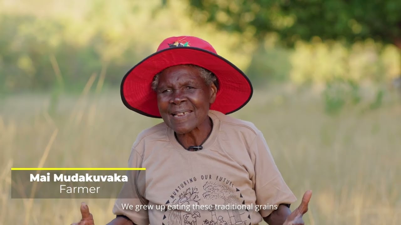 Masvingo Decentralised Seed and Food Festival (2025)