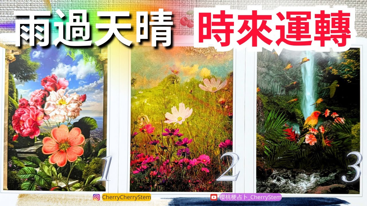 🍒 💝 你將會迎來的轉變 ｜人生大洗牌 觸底反彈｜領取好運 時來運轉｜  ♥️ 請開啟字幕 🟣無時間限制占卜 🟡  #塔羅 #占卜 #字卡 #tarot #oracle #事業 #愛 #愛情