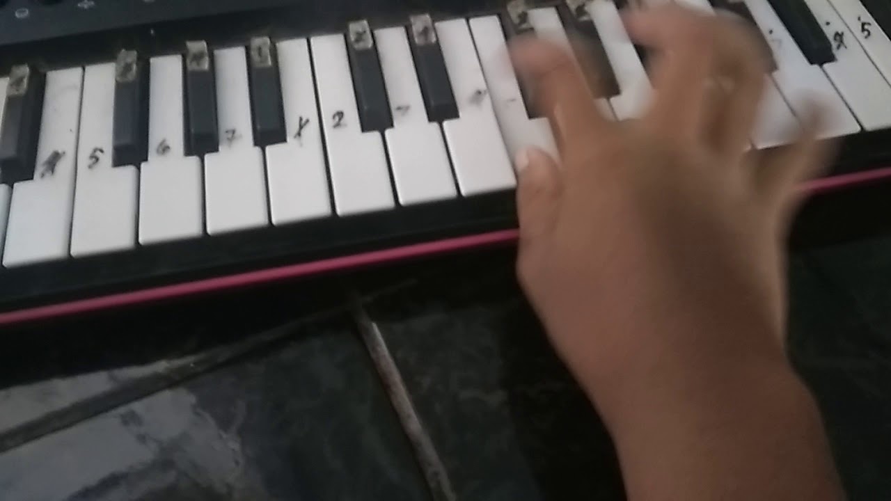 DPNH 27