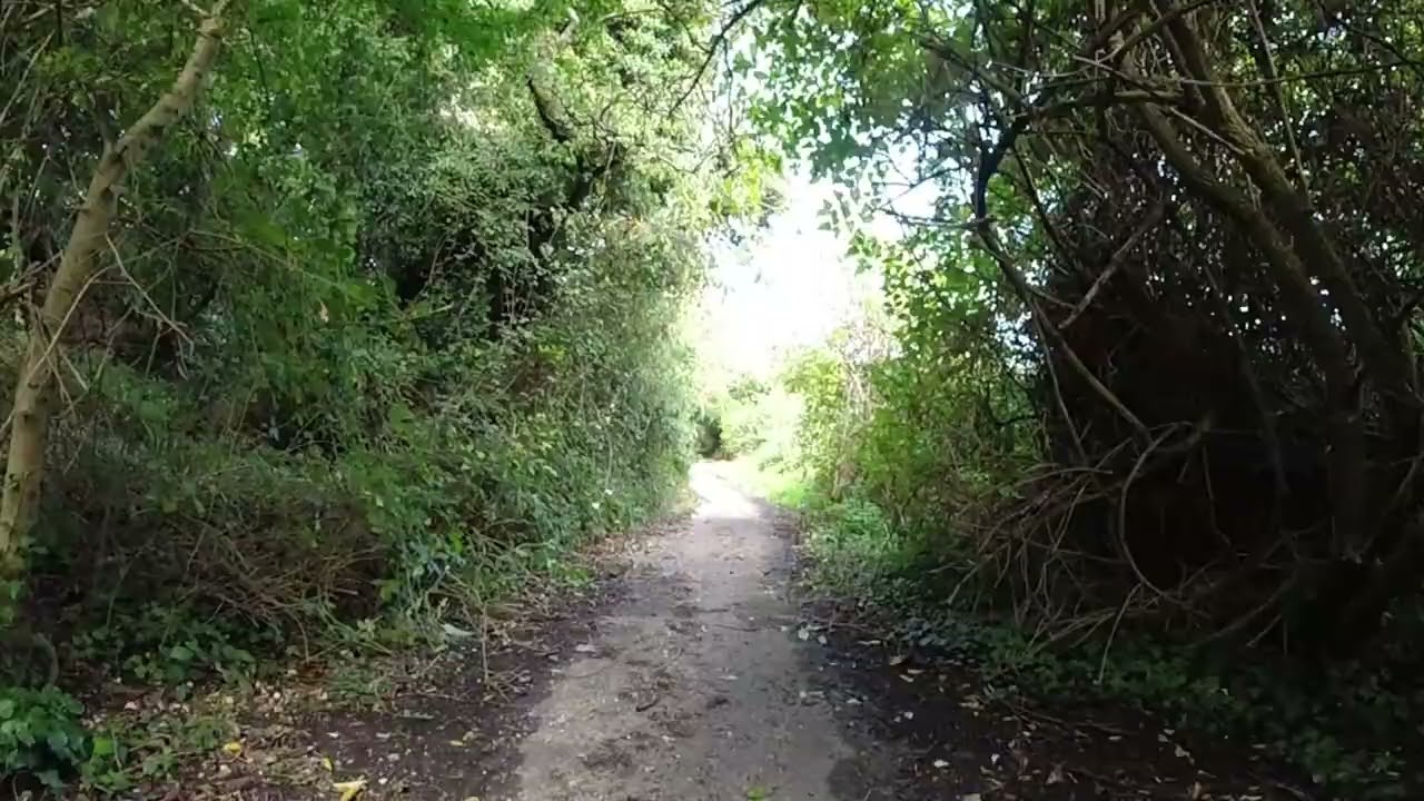 Batec Scrambler, in Boxley woods, with DJI Avata 2
