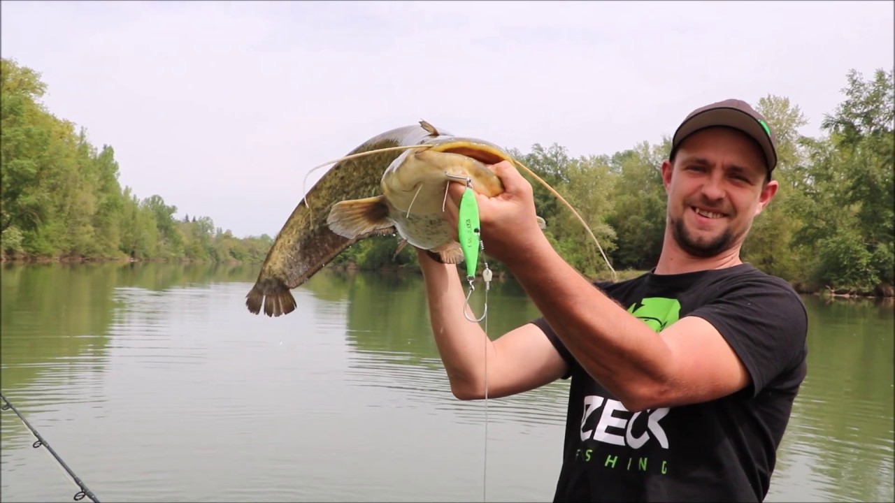 vertical jig zeck fishing