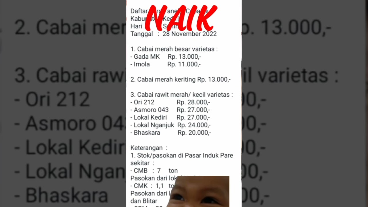 naik lagi! harga cabe rawit merah hari ini #hargacabai #hargacabe #caberawit