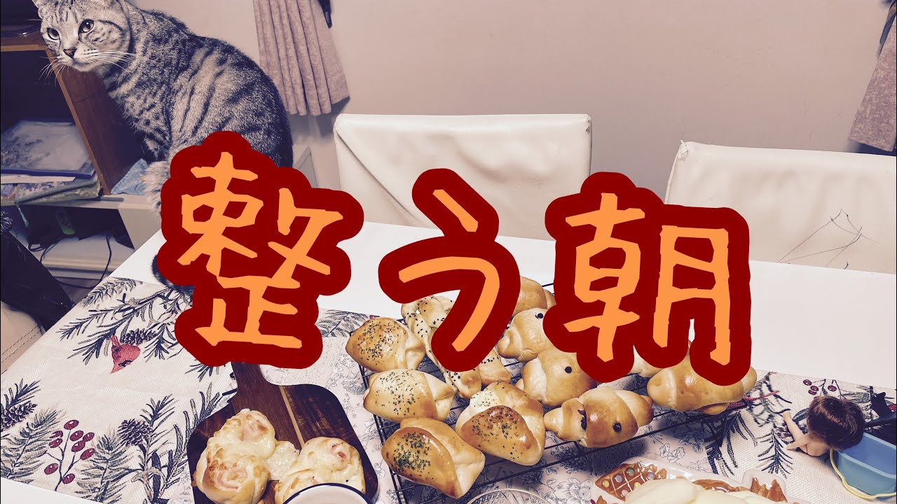 朝、目を覚ましたら猫でした｜やる気ゼロから整う朝のルーティン
