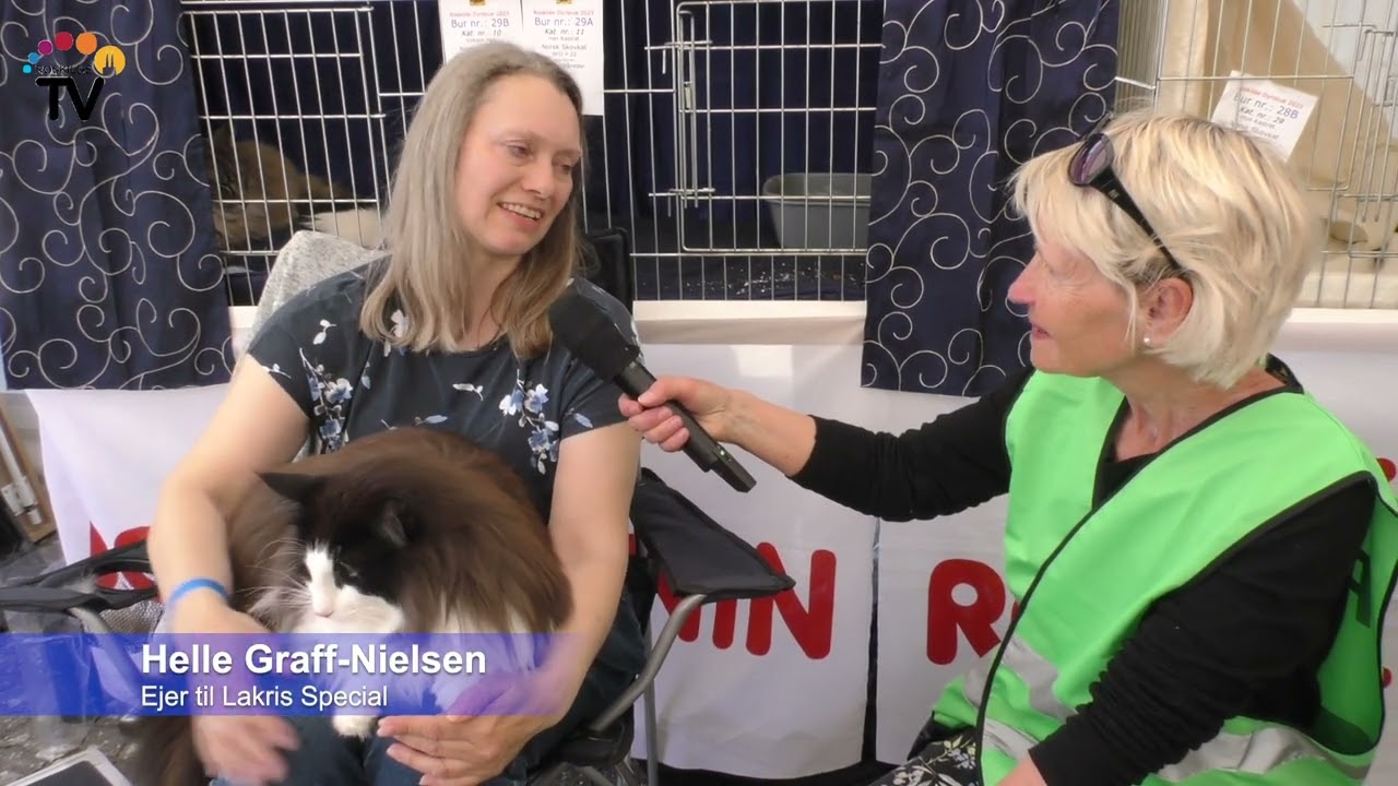 Roskilde Dyrskue med katte, grise og æsler