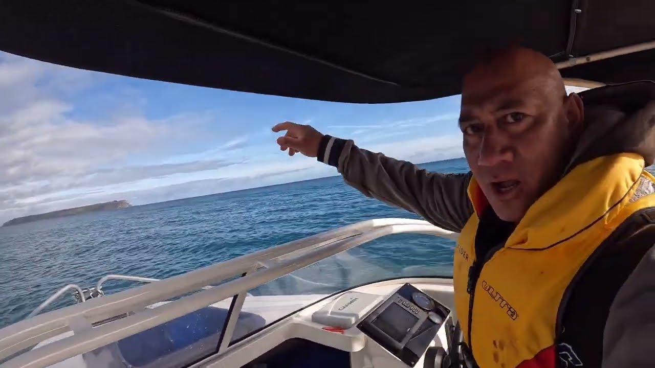 Boat Ride to Mana Island | Fishing | Cook & Eat Blue Cod | Porirua Wellington NZ