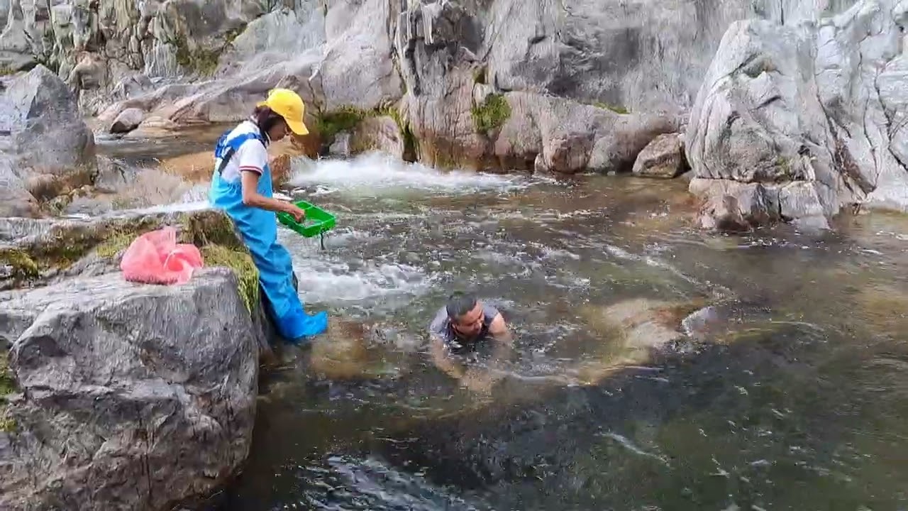 다슬기효능