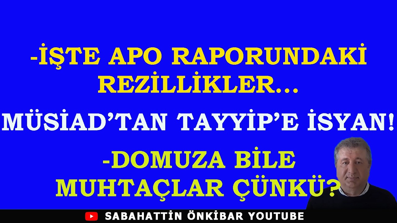 İŞTE APO RAPORUNDAKİ REZİLLİKLER...MÜSİAD'TAN TAYYİP'E İSYAN!..DOMUZA BİLE MUHTAÇLAR ÇÜNKÜ?