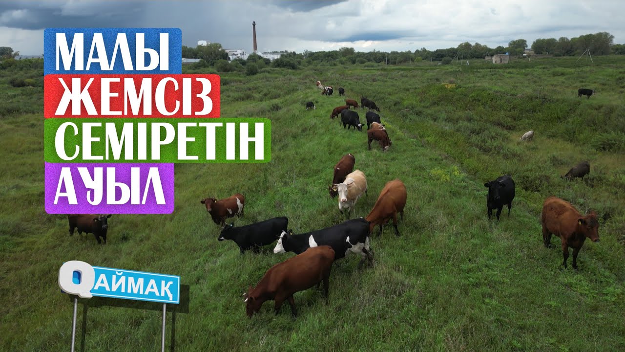 МАЛЫ ЖЕМ- ШӨП ЖЕМЕЙ-АҚ  СЕМІРЕТІН АУЫЛ