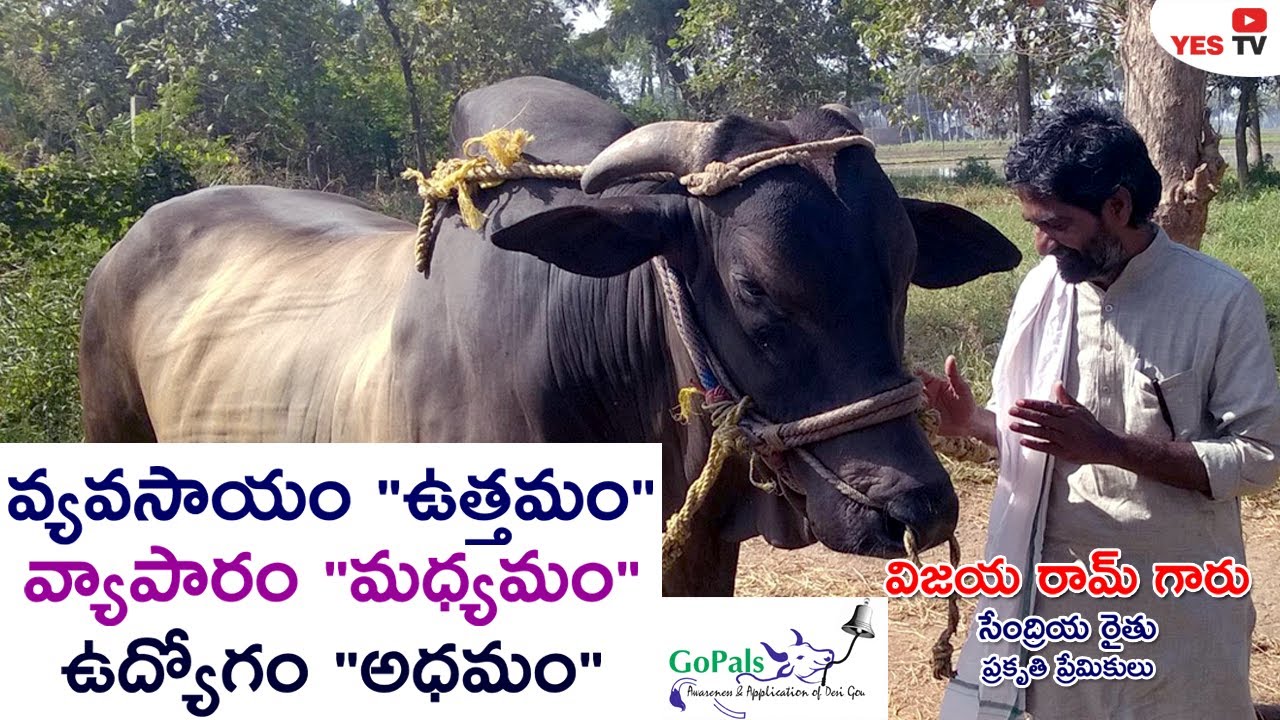 వ్యవసాయం