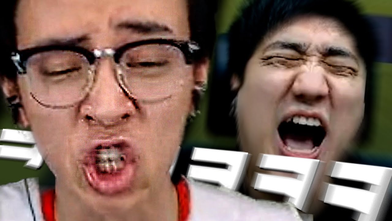 눈 마주치면 싸우는 새77ㅣ들..