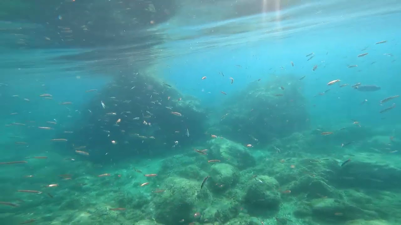 Cala Paraíso, Nerja. 2025