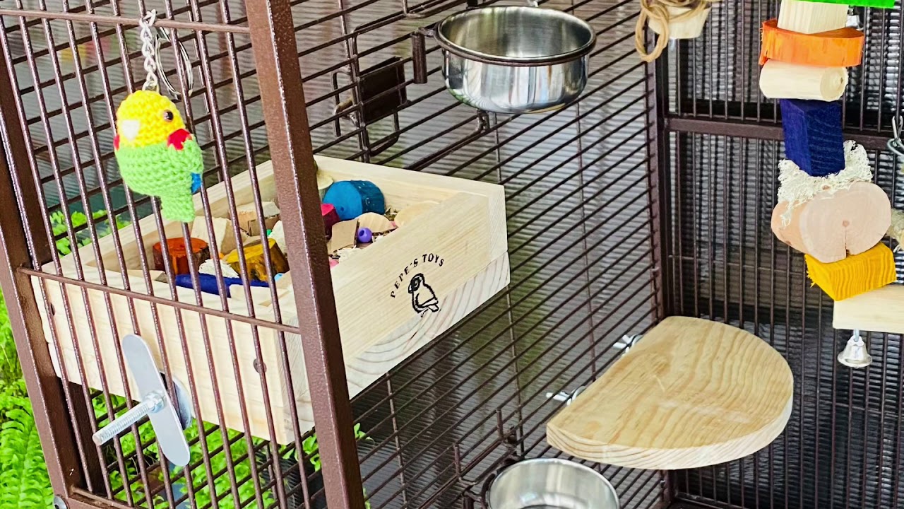 Jaula  o recinto para loros. Cómo ambientarla?