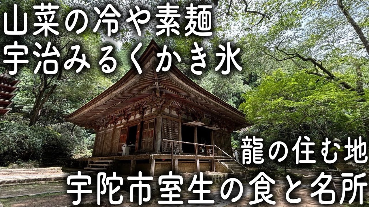 【奈良/宇陀】龍の住む地 - 山菜の冷や素麺 宇治みるくかき氷 室生寺 室生龍穴神社 天ノ岩戸 龍穴  【奈良太郎と奈良美の旅】