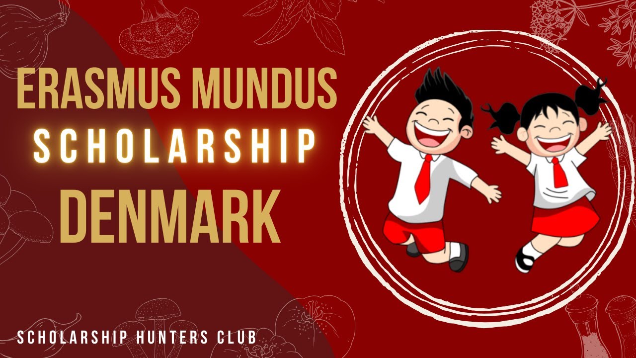How to Apply for the Erasmus Mundus Scholarships Denmark: Stepwise Procedure