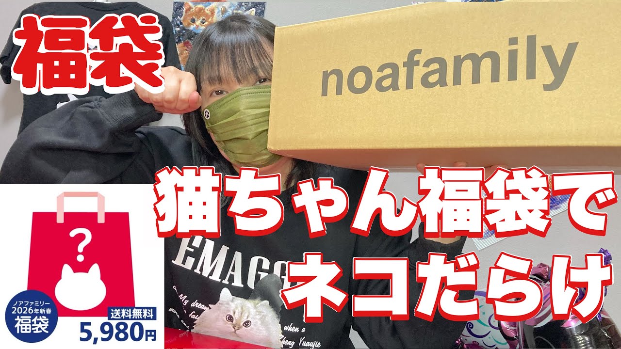 【福袋】ネコ好き必見！初購入の猫ちゃん福袋が豪華過ぎた（楽天市場）猫雑貨