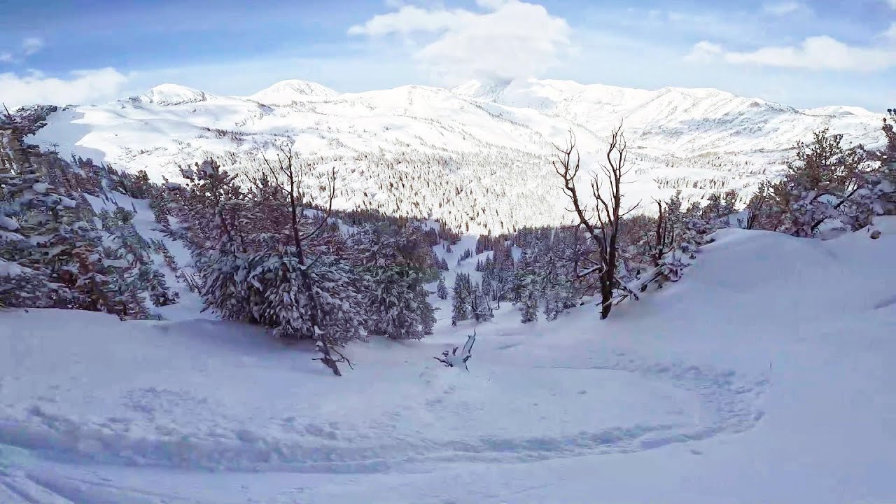Supreme Bowl - Alta