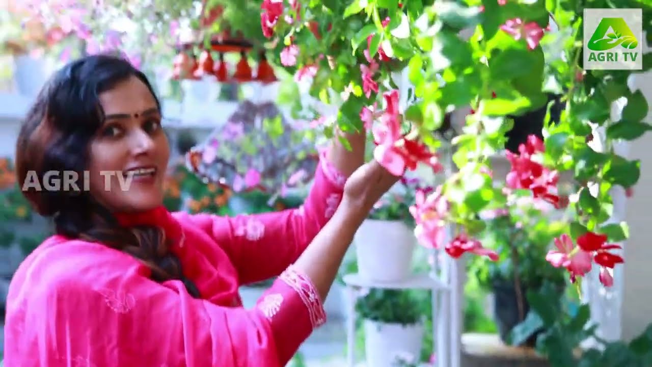 ആരെയും കൊതിപ്പിക്കും , പൂക്കൾകൊണ്ട് ഈ നിറച്ച വീട് Amazing Home Garden Kerala