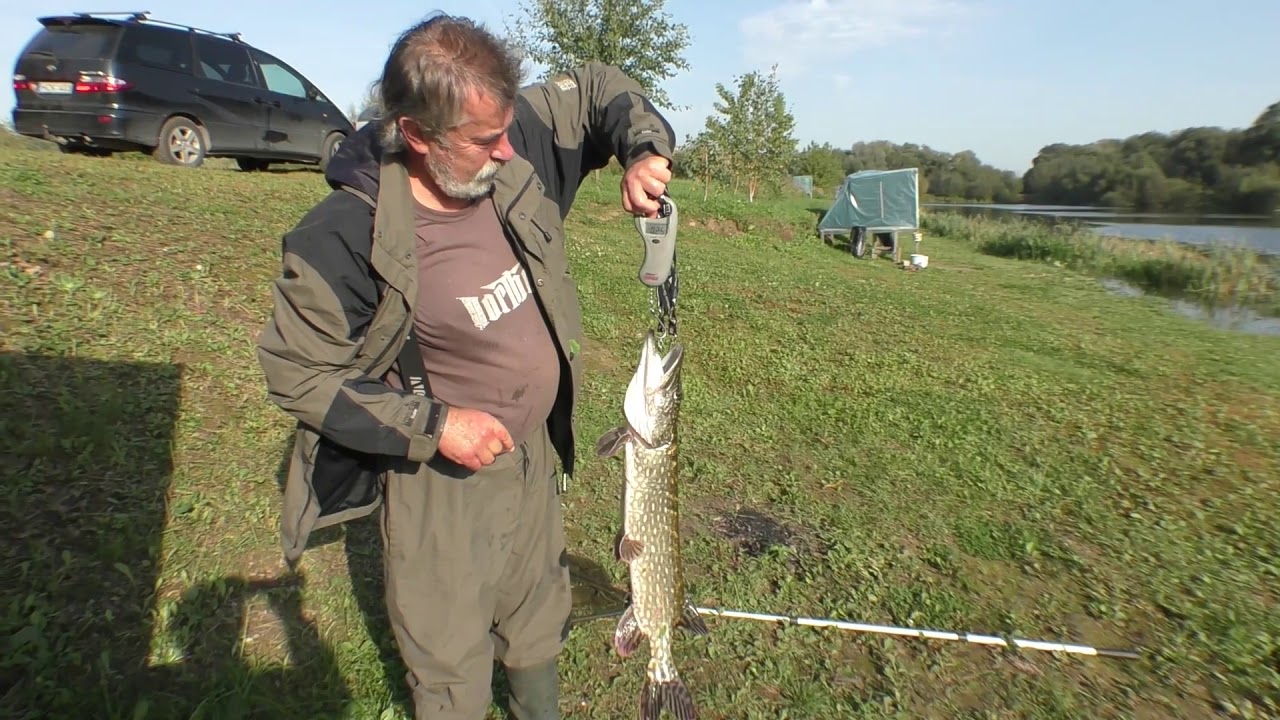 Rudeninis žvejybos laimikis