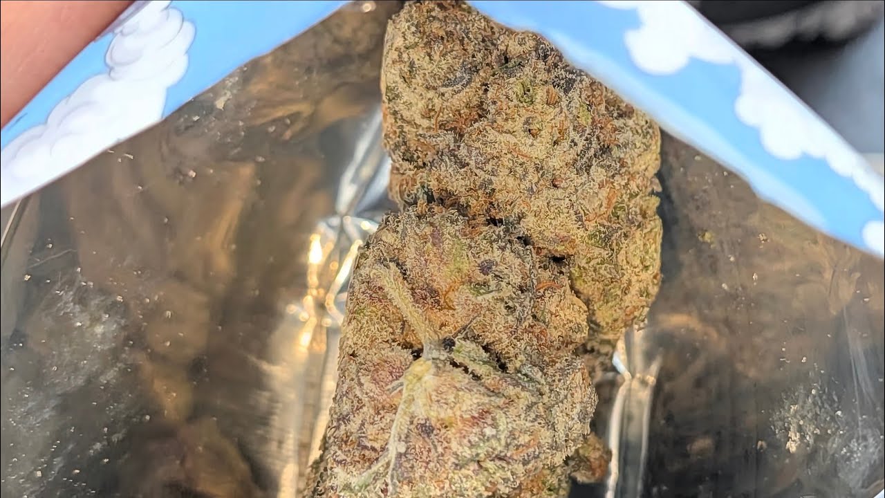 THCA SMALL BUDS | GUCCI OG | OG MAINLINE - Crazy Frost & Clean Smell! ❄️🔥