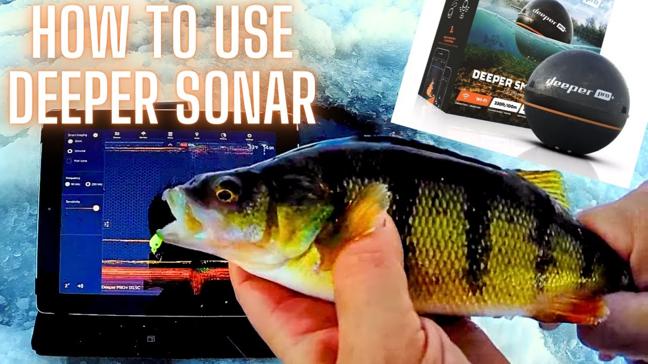 How to Use Deeper Pro Plus Sonar for Ice Fishing Perch