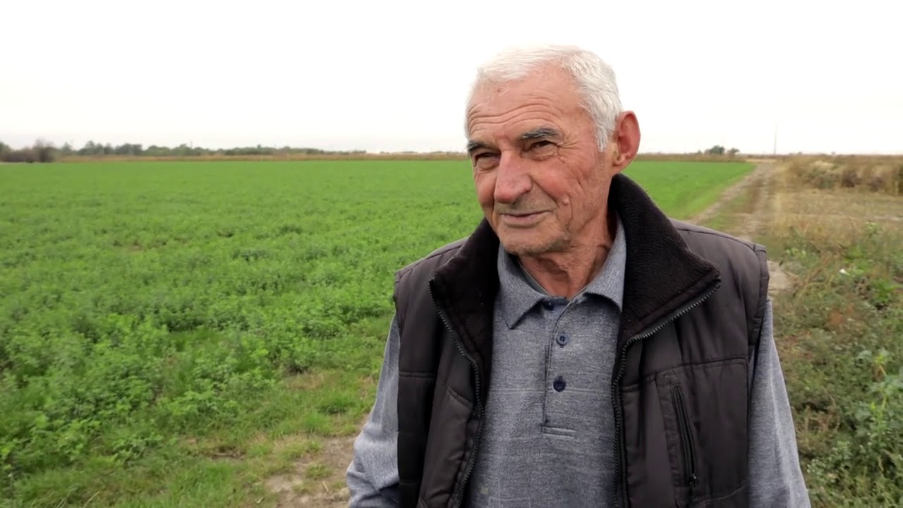 Srpski domaćin ep. 39 05.11.2020. Crepaja, Krsto Markov