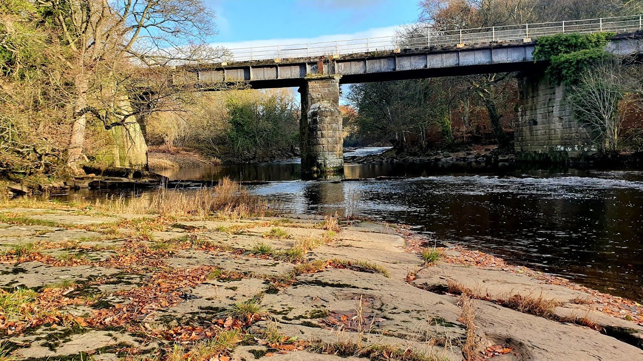 River Swale Flyfishing ,north yorkshire ,Winter Grayling .nov 2021.