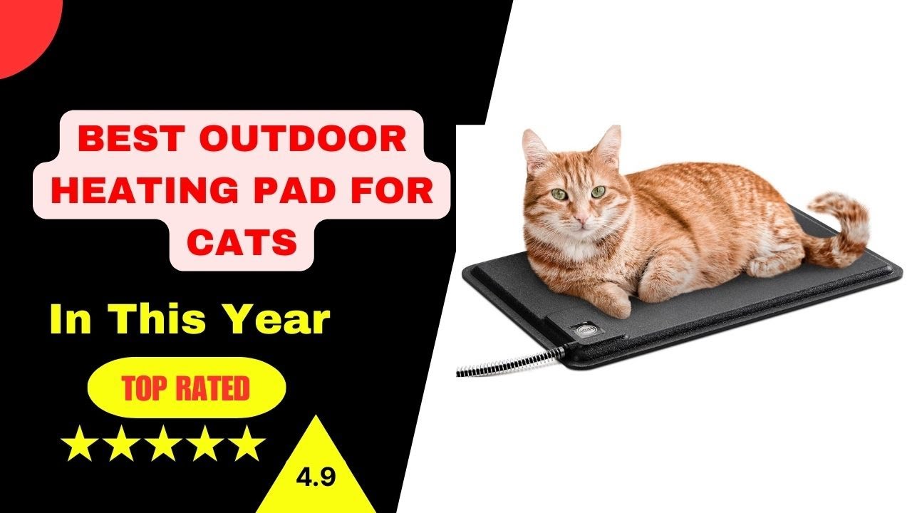 ✅ Best outdoor heating pad for cats: Outdoor heating pad for cats(Buying Guide)