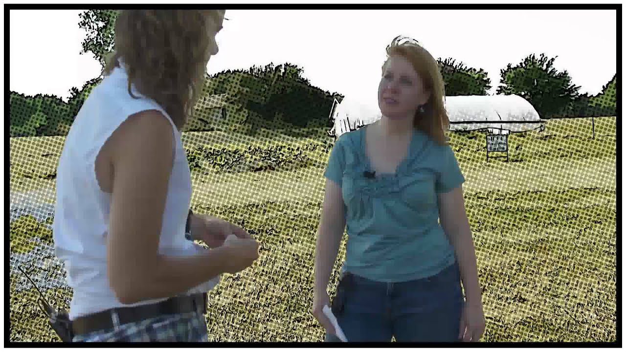 The Hayseed Project with Susan Werner