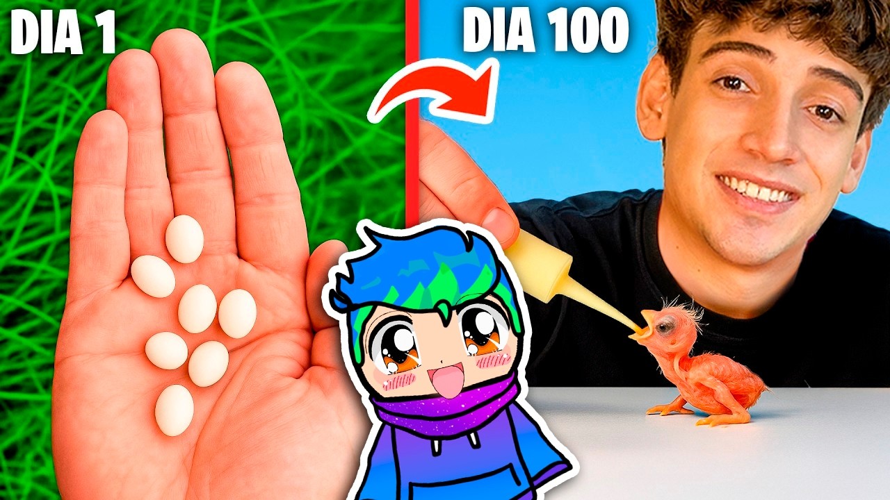 🐣Rescaté 100 Huevos Misteriosos y Nacieron🐣 / Carlos Infinito REACCIONA BrunoyJoelRANDOM
