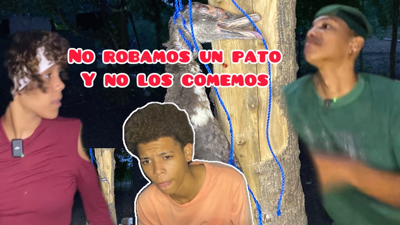 Pobre pato todos sale mal 