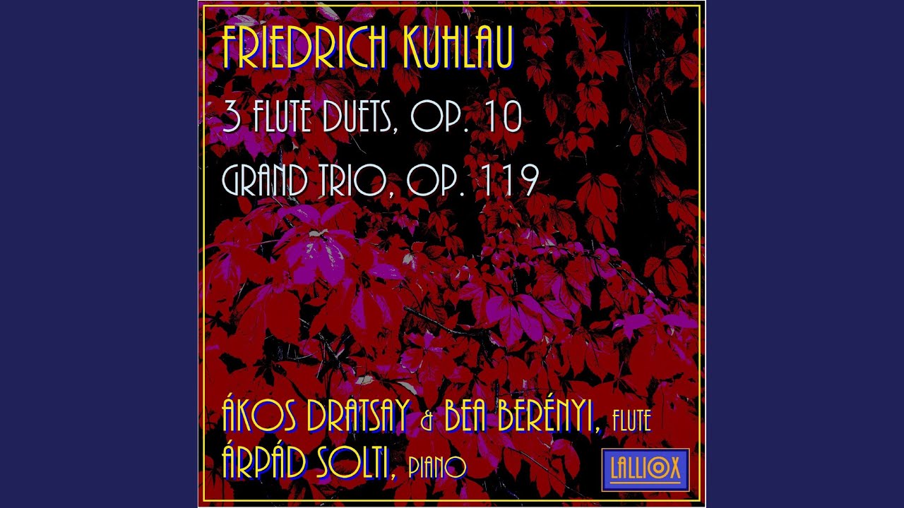 Kuhlau: Flute Duet Op. 10 No. 3 in G Major, I. Allegro Assai