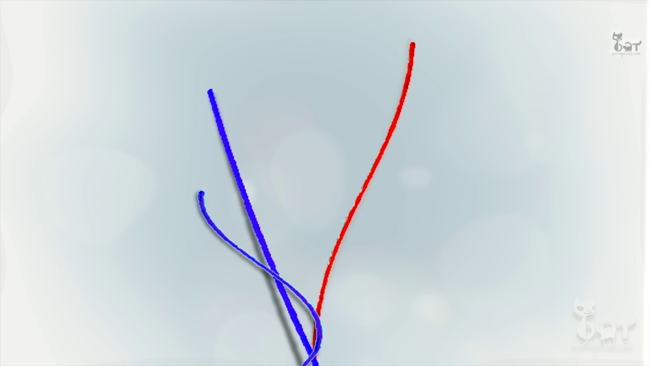 Vidéo pour chat ! ficelle rouge & bleu ! Mettez votre chat devant cette vidéo ! votre chat va adorer