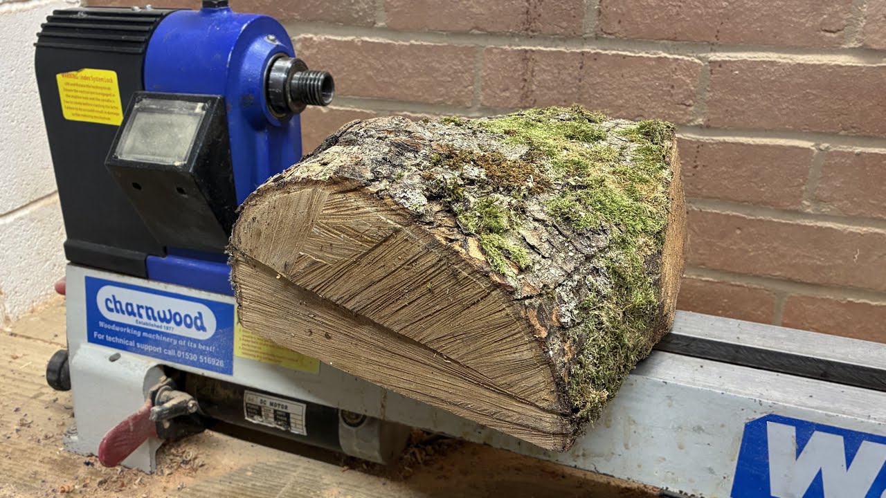Sycamore Log to Bowl - Wood turning
