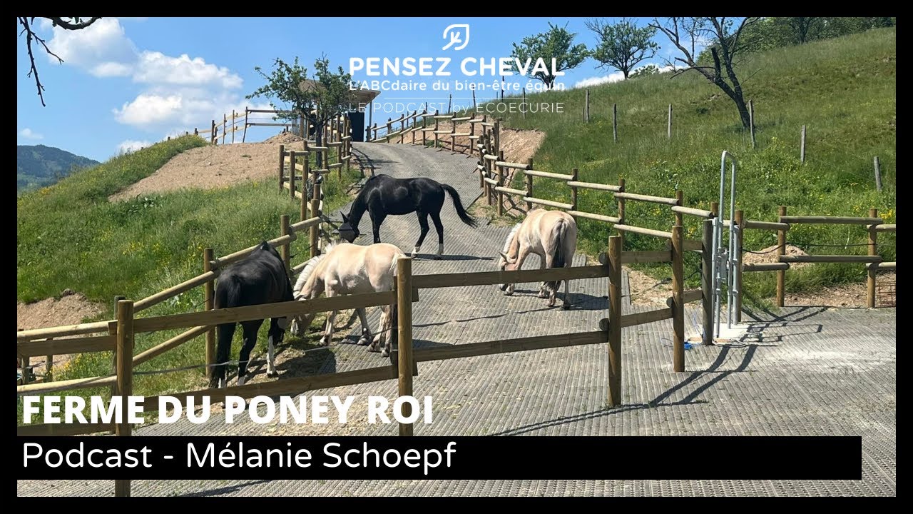 Épisode 25 - Mélanie Schoepf - FERME DU PONEY ROI