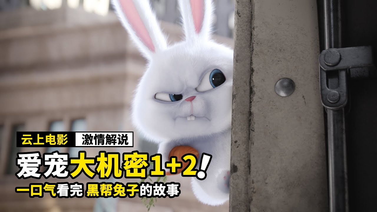 一口气看完，黑帮兔子的故事，动画电影《爱宠大机密1+2全集》