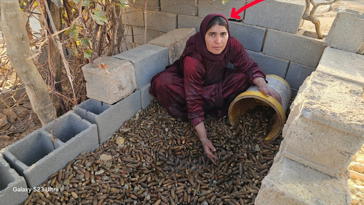 “Nomadic Woman Collecting Wild Acorns on High Mountain Peaks | Real Rural Strength & Nature Life”